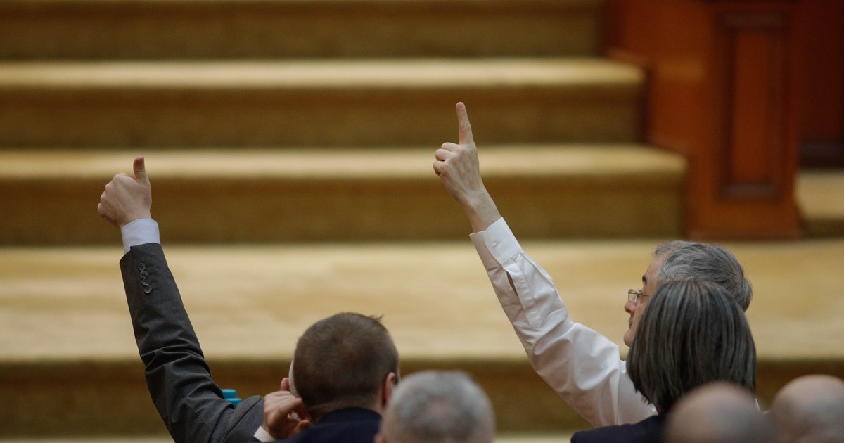 Strategia PNL pentru Guvernul Niculescu: vot de susținere fără participare în Executiv