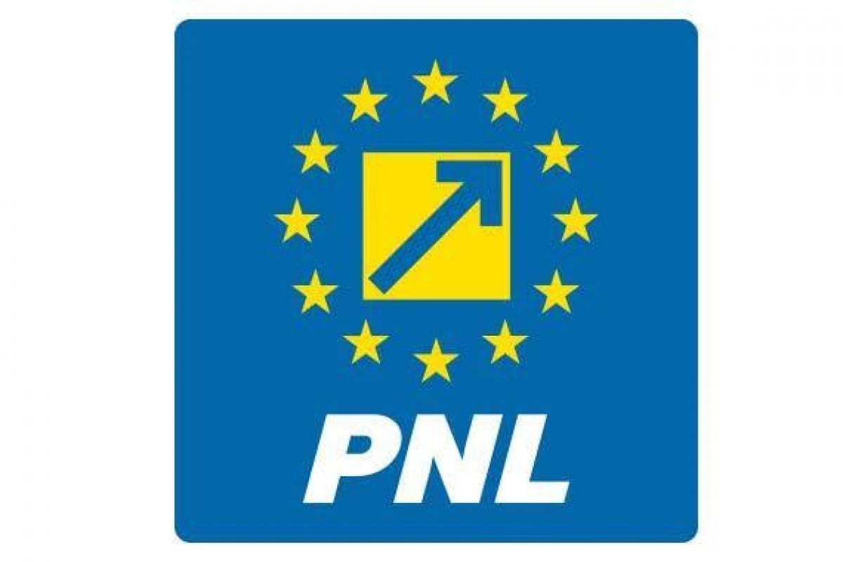 Schimbare de strategie la PNL: de la sancțiuni pentru susținerea PSD la votul pentru Guvernul Luca Niculescu