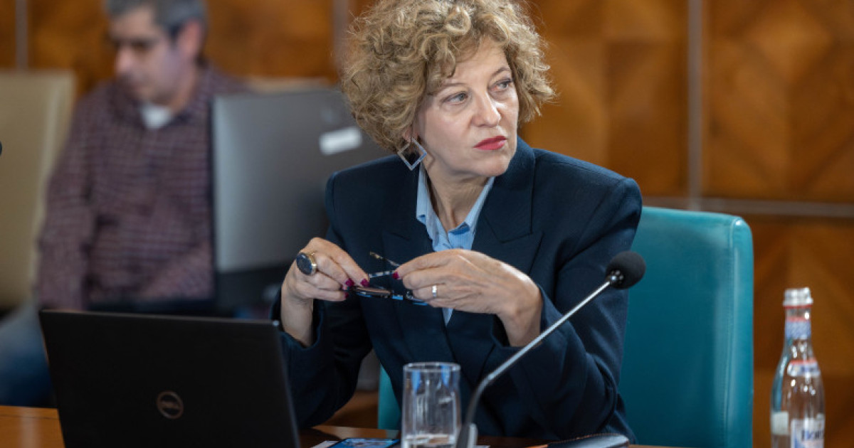Oana Gheorghiu explică decizia PNL de a susține Guvernul Niculescu: „PSD va trebui să își asume guvernarea”