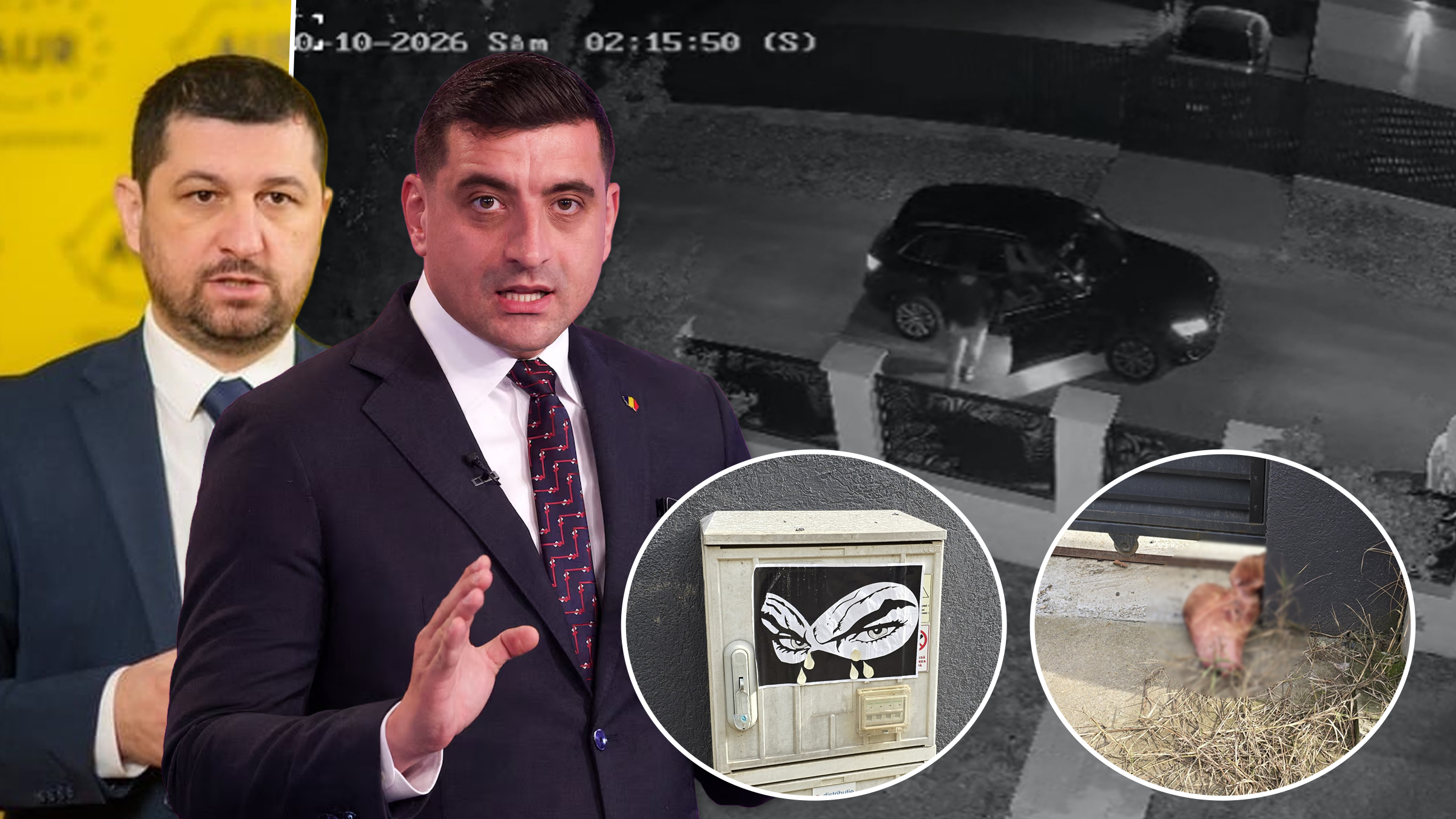 Marius Lulea acuză lui George Simion de amenințări: a găsit un cap de porc la poartă