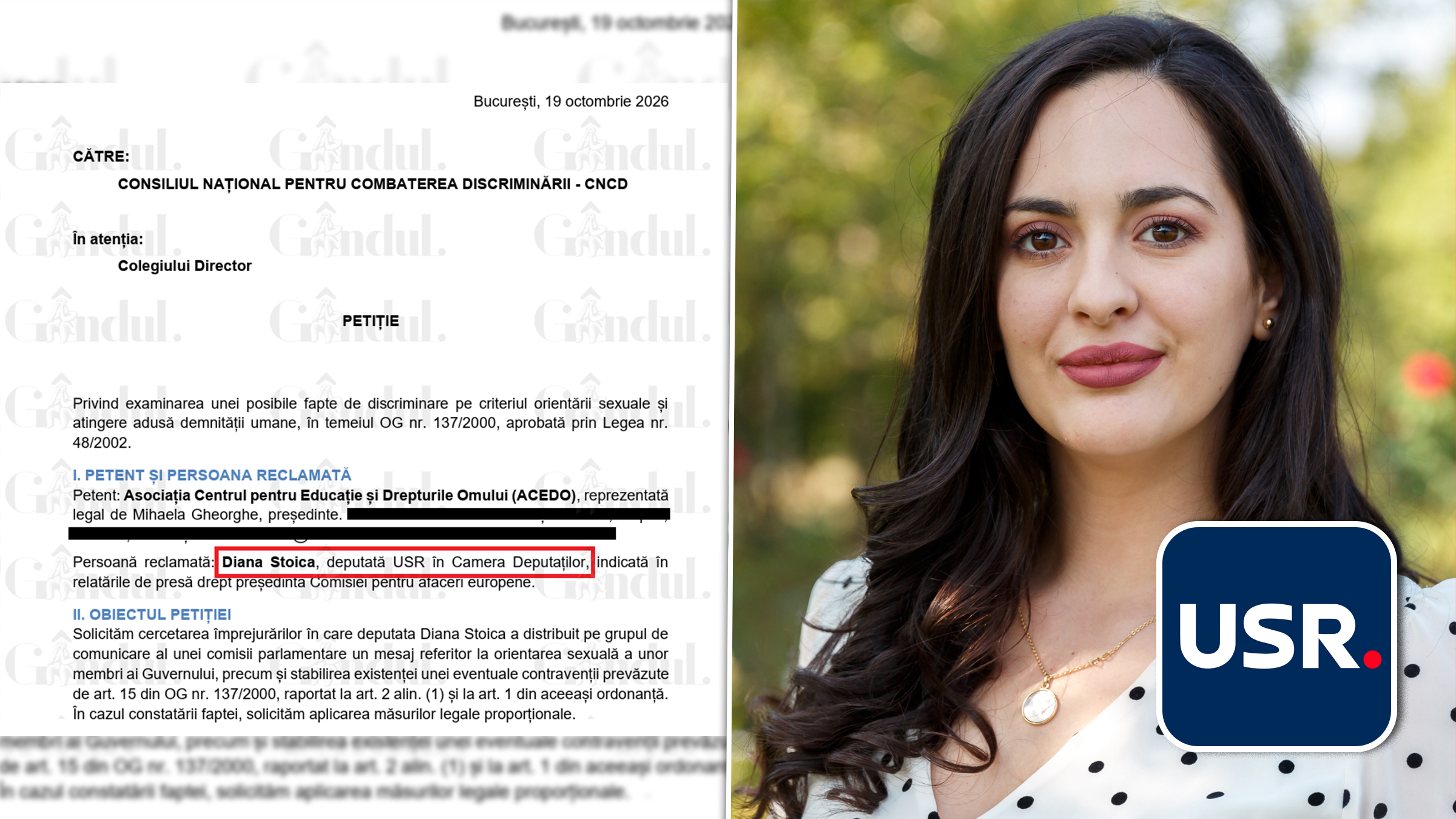 Deputata Diana Stoica a fost plângită la CNCD pentru un mesaj trimis pe grupul unei comisii parlamentare