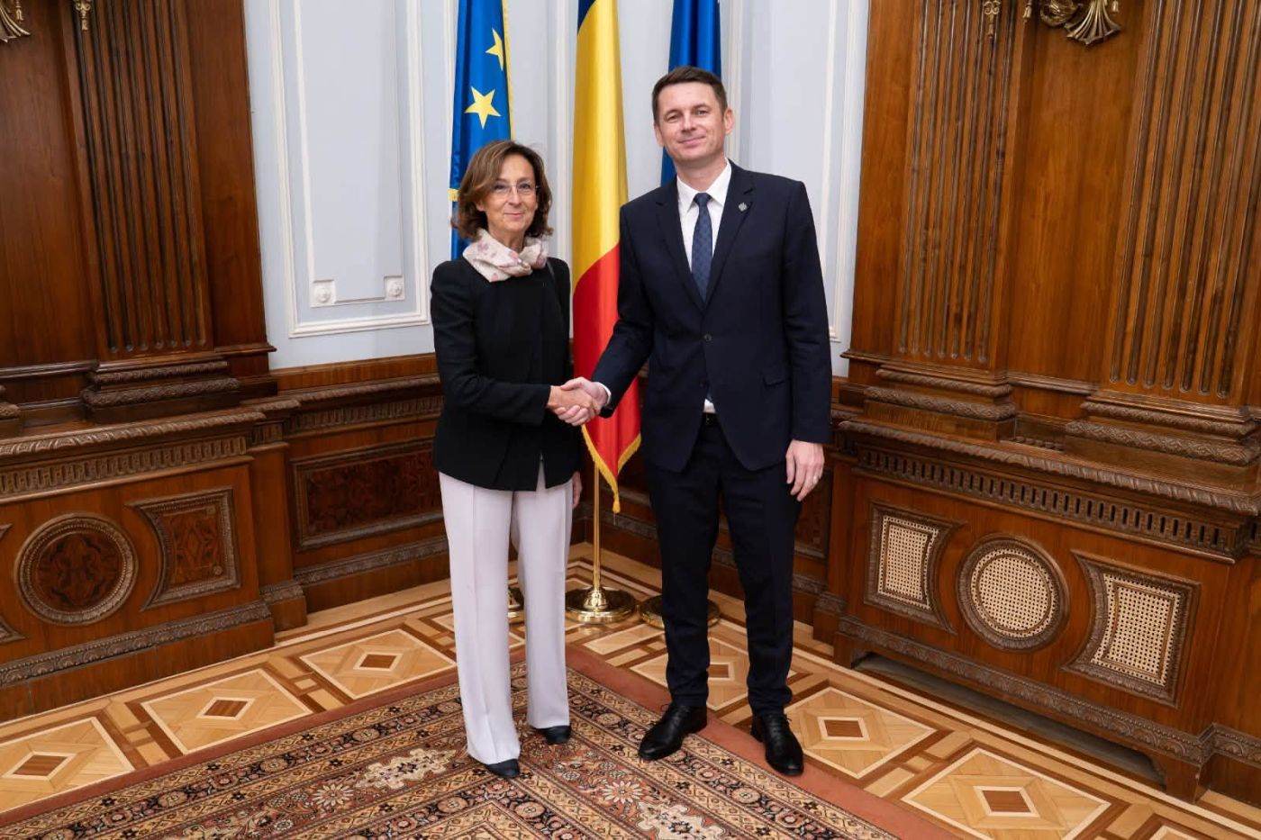 Mircea Abrudean s-a întâlnit cu președinta Comisiei de la Veneția despre rolul Parlamentului și stabilitatea politică