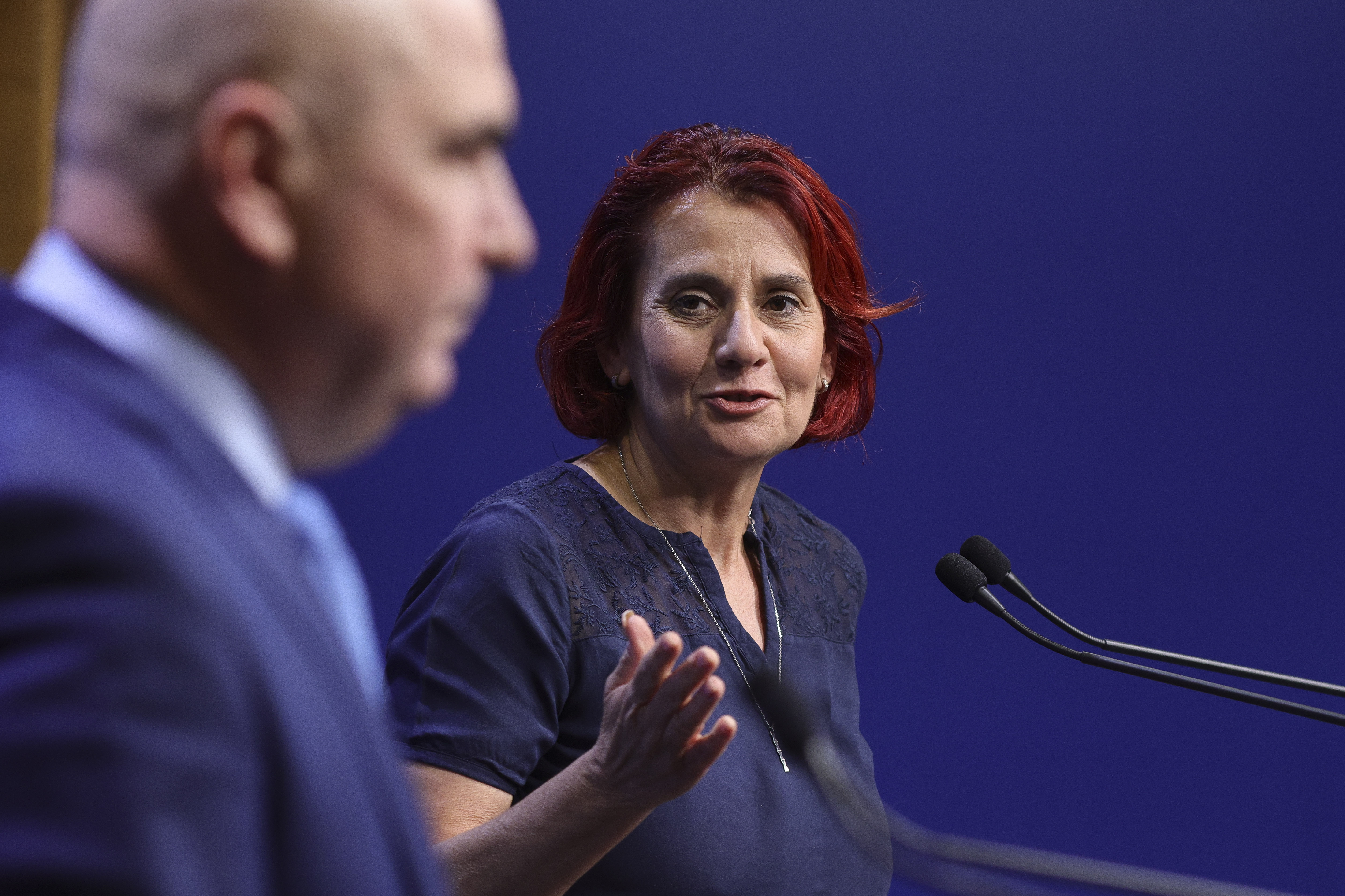 Ioana Dogioiu demisionează din funcția de purtător de cuvânt al Guvernului Bolojan