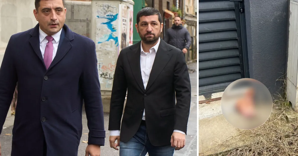 Incident de intimidare împotriva lui Marius Lulea: al doilea cap de porc găsit la o adresă asociată fostului lider AUR