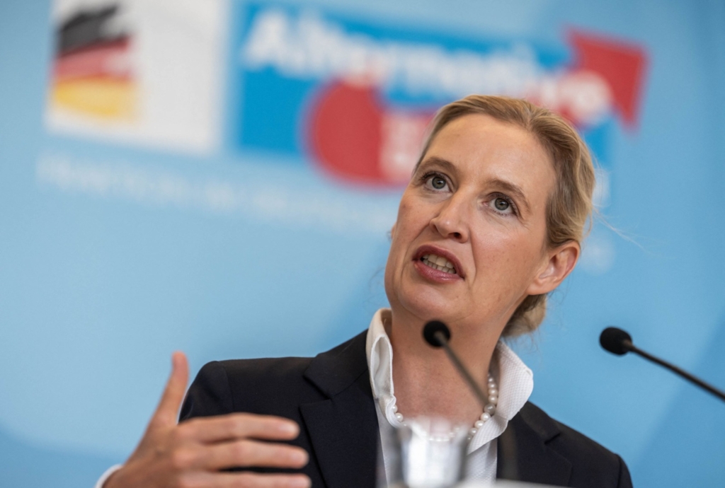 AfD propune reforme radicale pentru UE și amenință cu referendum pentru ieșirea Germaniei din bloc