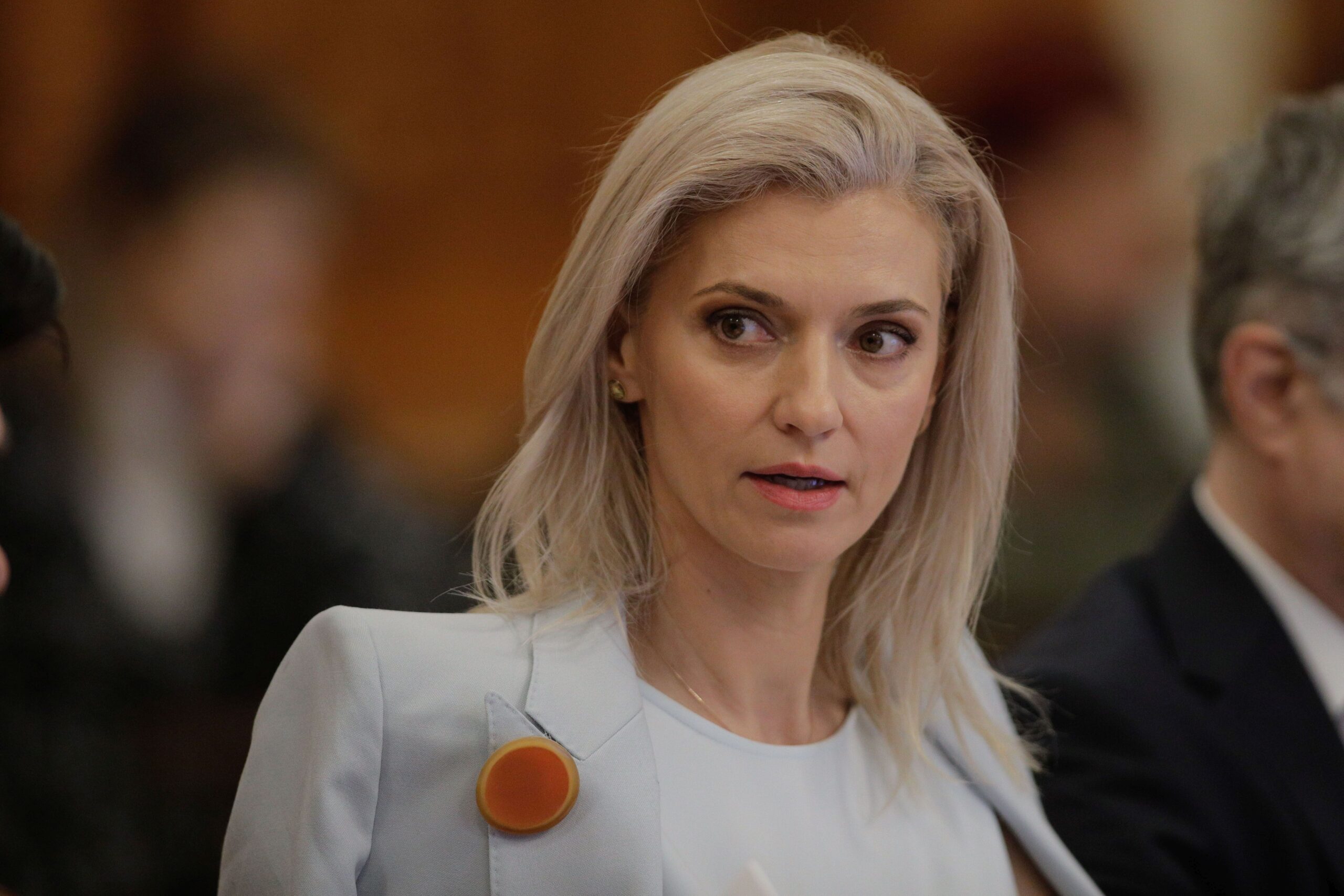 Alina Gorghiu avertizează asupra dificultății de a obține majoritatea parlamentară pentru noul Guvern