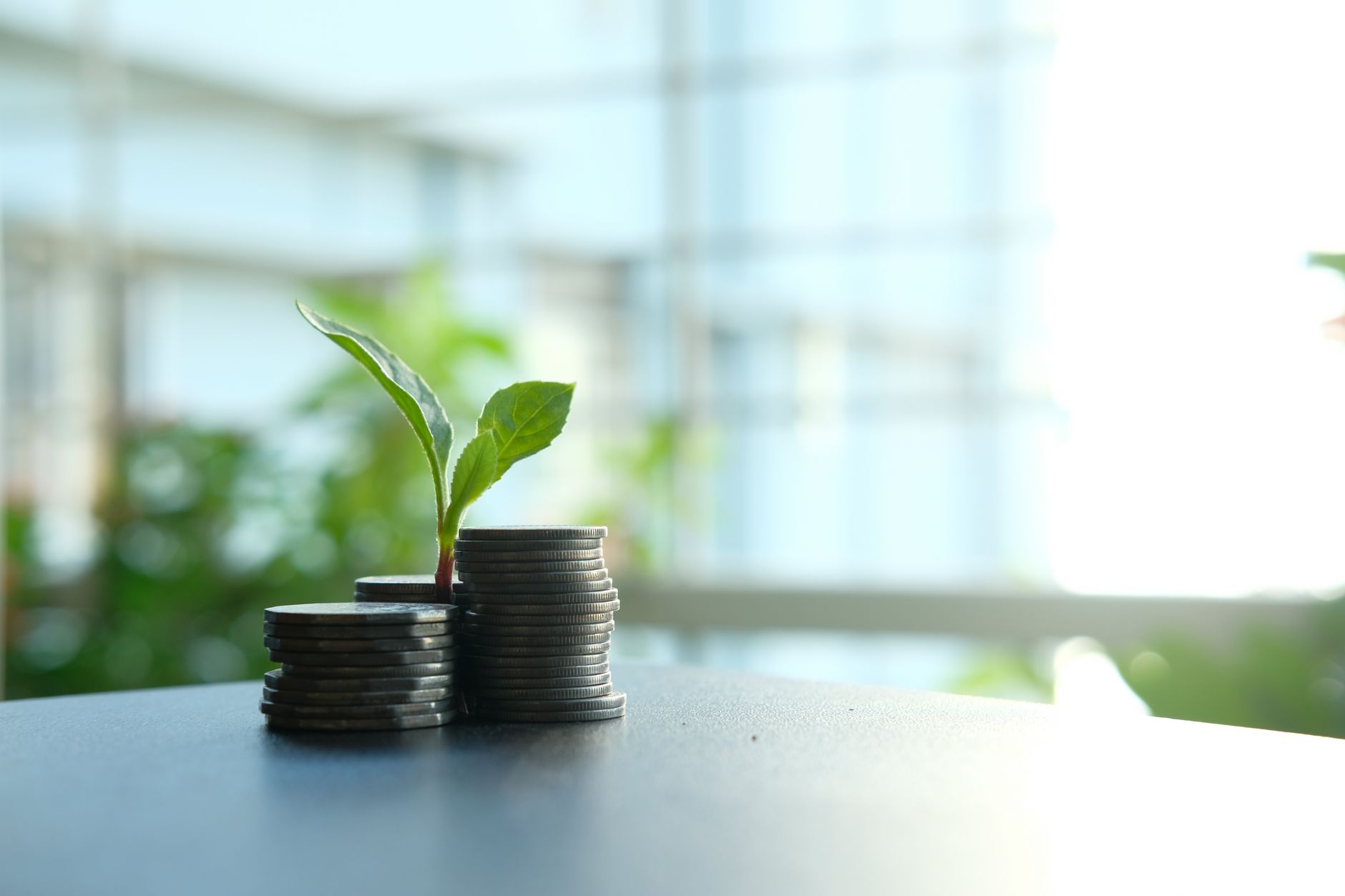 PNADD solicită noului guvern schimbarea modelului economic bazat pe datorii și consum