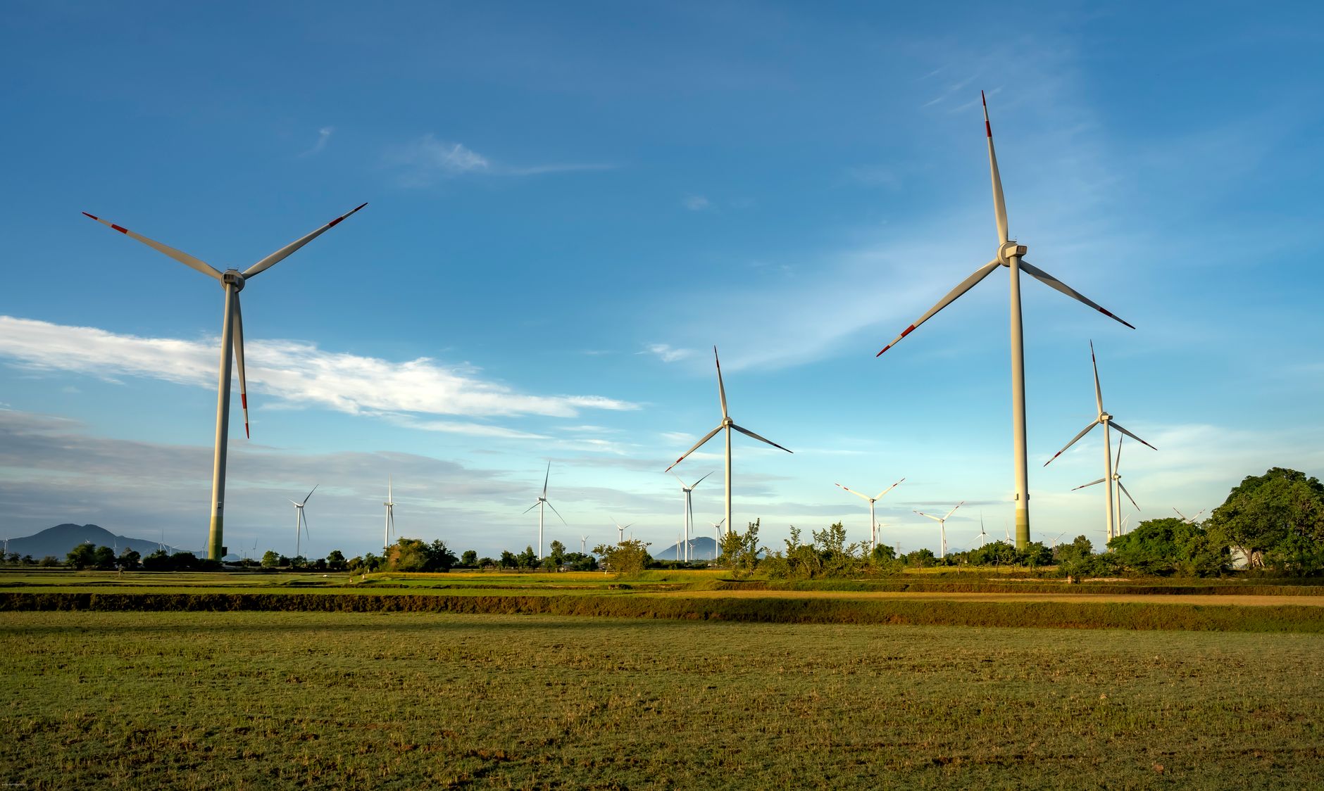 Parlamentul European adoptă poziția pentru COP31: accelerarea renunțării la combustibilii fosili și sprijin financiar