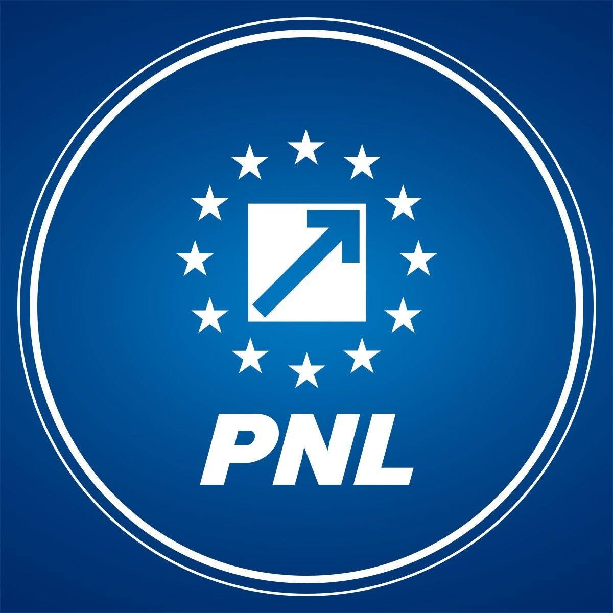 PNL solicită anularea deciziei Tribunalului București privind completurile pentru partidele politice