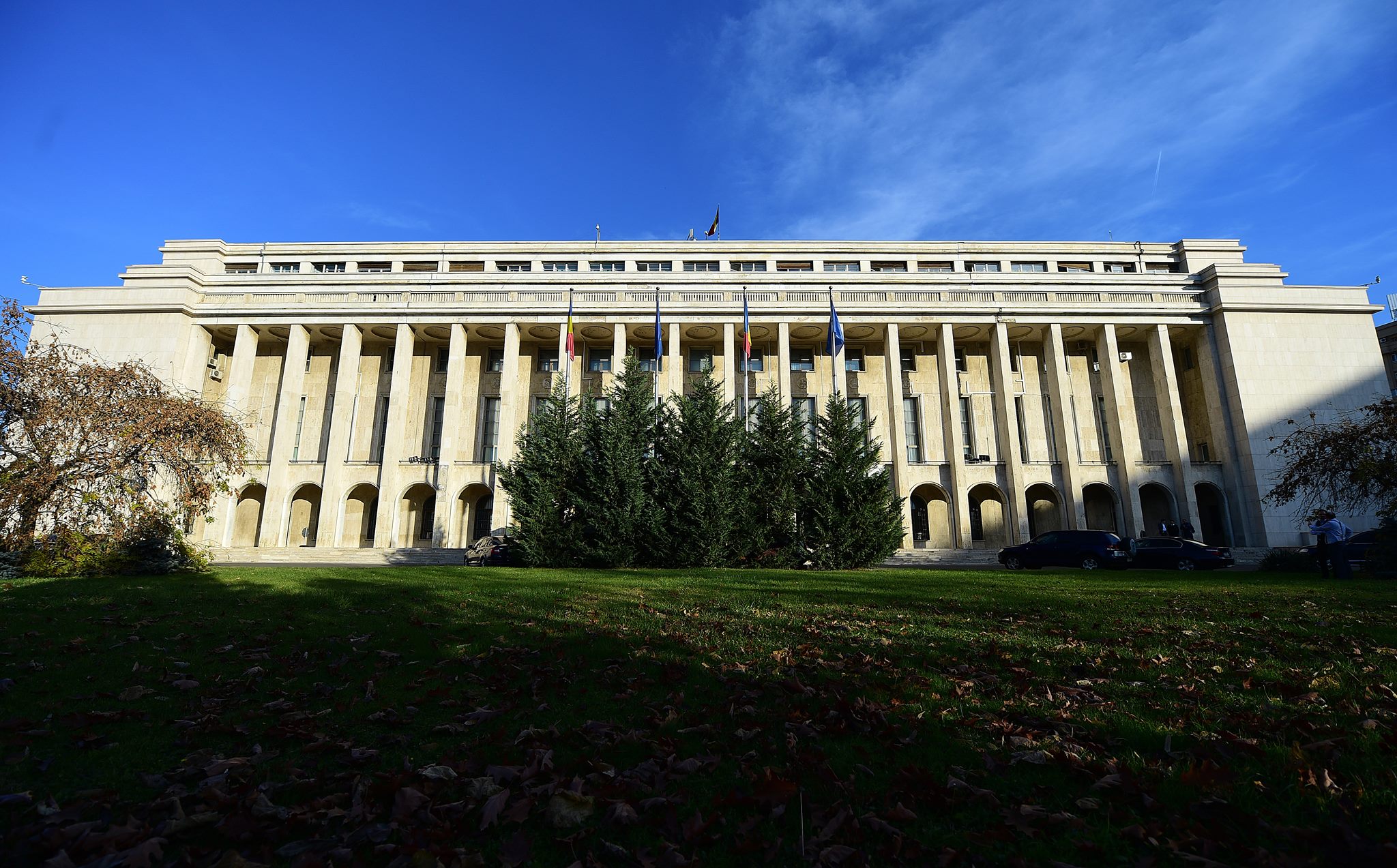Guvernul implementează măsuri urgente pentru combaterea violenței în unitățile de învățământ