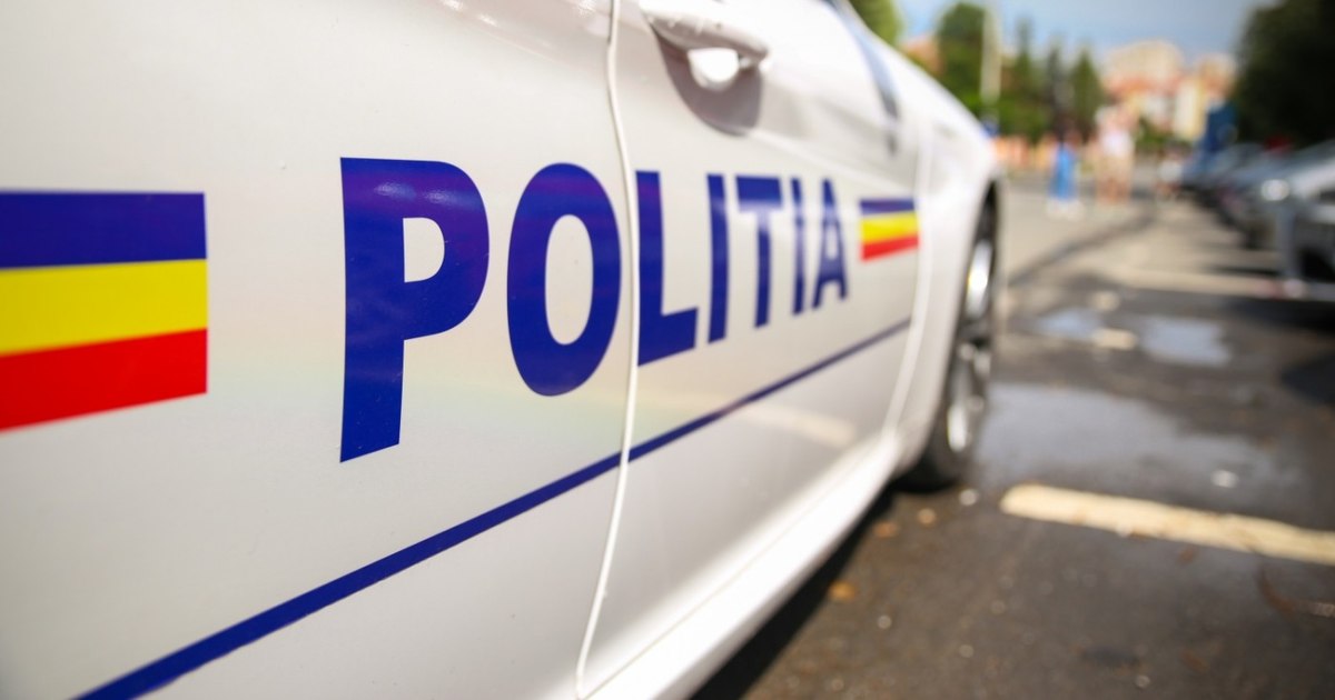 Acord de recunoaștere a vinovăției pentru răpirea unor gemeni de cinci luni în București