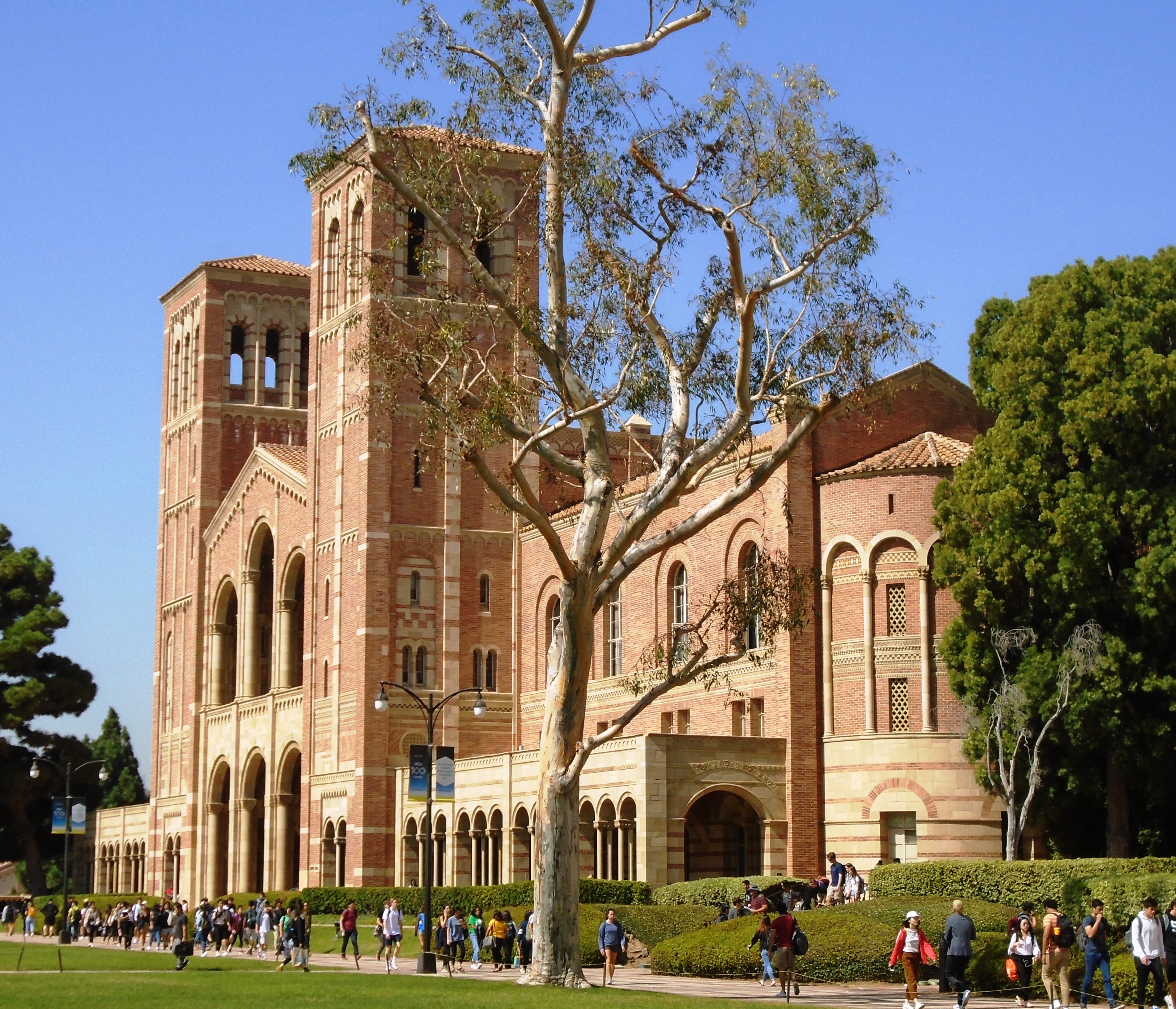 Universitatea „Alexandru Ioan Cuza” din Iași suspendă contractul lui Alexandru Toader după arestare