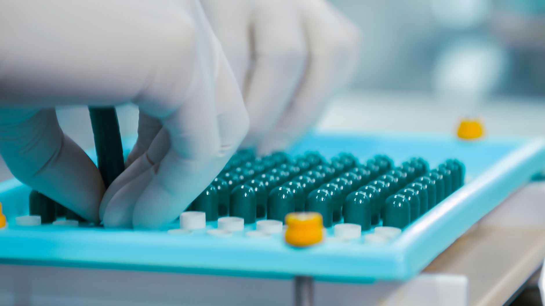EFSA aprobă extinderea utilizării conservantului E 246 în 11 categorii alimentare noi