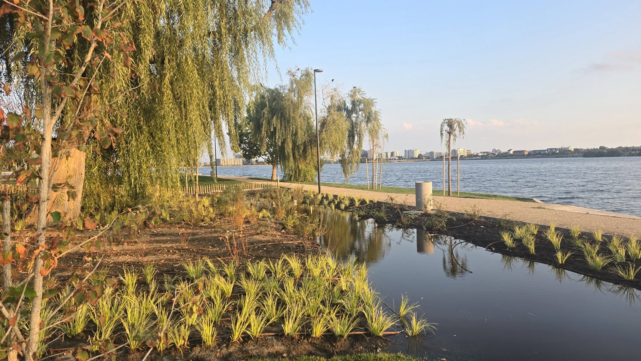 Insula Lacul Morii este din nou accesibilă: Consiliul Local al Sectorului 6 a aprobat noul regulament de utilizare