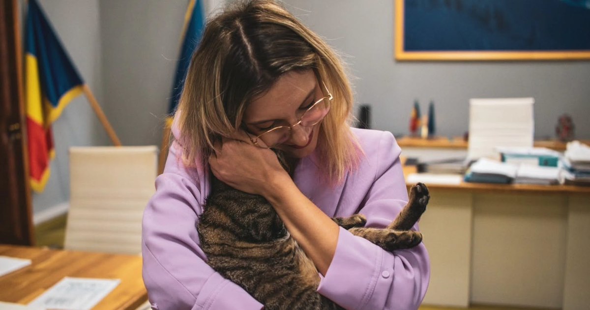 Soarta pisicii adoptate de Ministerul Mediului: Diana Buzoianu a decis ce se întâmplă cu Leia