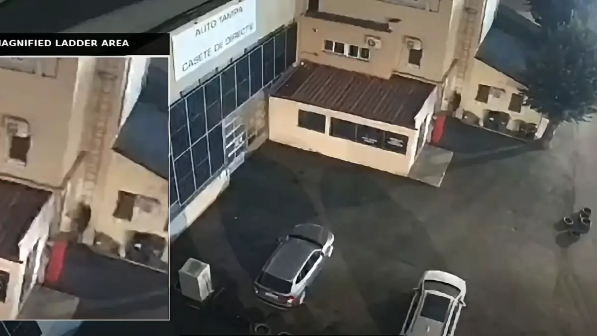 SRI a identificat o rețea de sabotaj coordonată din Federația Rusă după incendiul de la Carfil