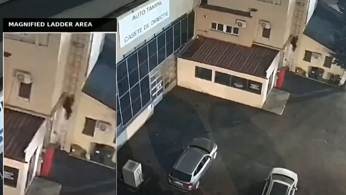 Rețea de sabotaj coordonată de Rusia este destructurată după incendiu lângă fabrica de arme CARFIL SA
