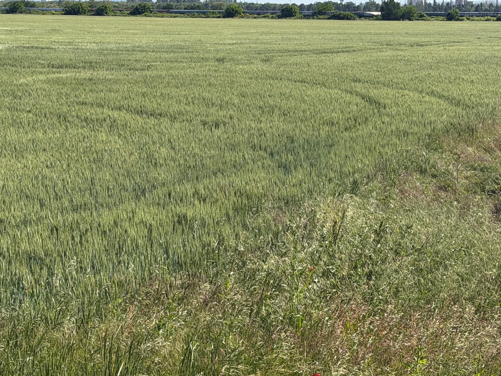 Acord la nivelul UE pentru reforma Politicii Agricole Comune: România obține menținerea ajutoarelor tranzitorii