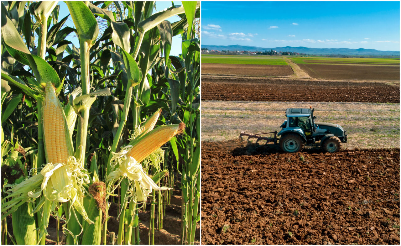Ministerul Agriculturii modifică schema de subvenționare a îngrășămintelor pentru fermieri