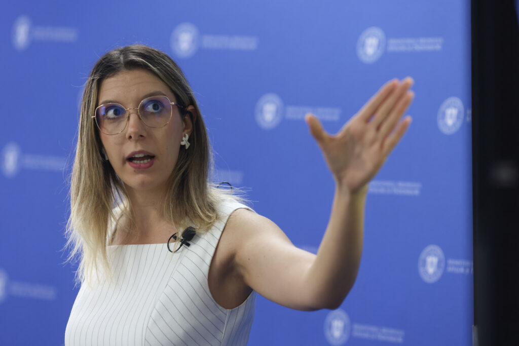 Conflict politic privind Radarul Balastierelor: Diana Buzoianu acuză PSD de amânare