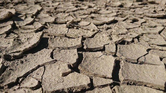 Comisia Europeană propune noi reguli pentru reziliența climatică a UE în fața creșterii temperaturilor