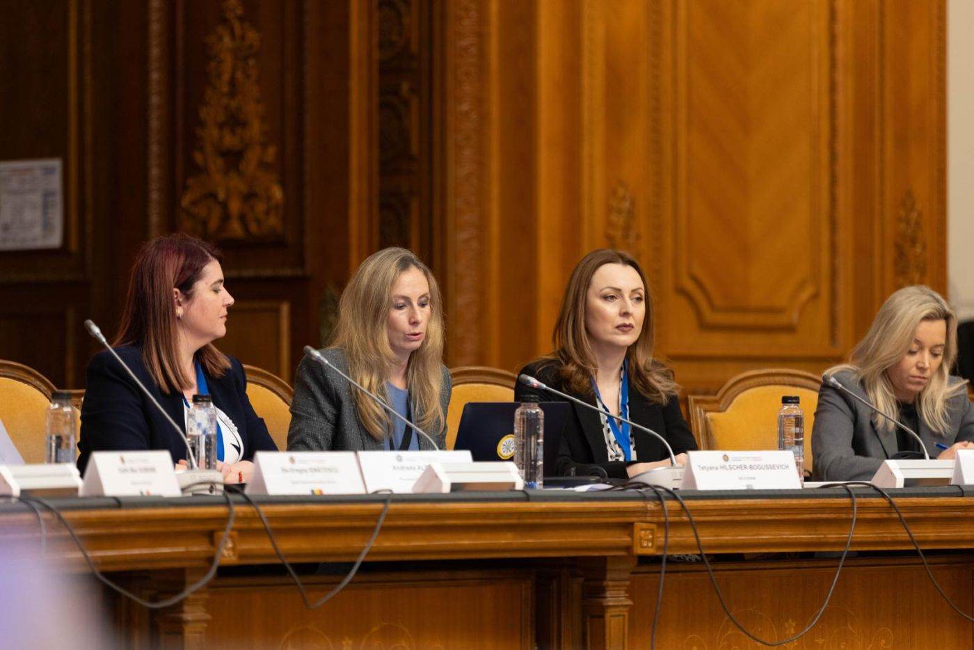 Propuneri de transparență pentru utilizarea banilor publici de către partide în publicitate și promovare prin influenceri