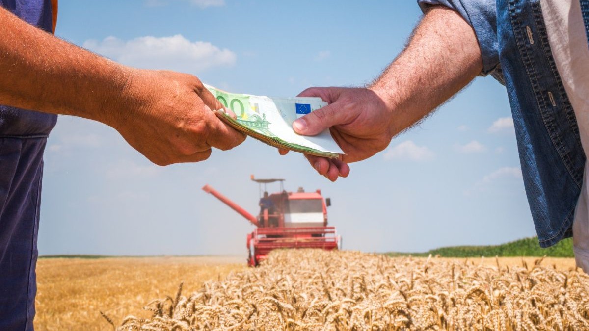Guvernul introduce ajutoare pentru fermieri: compensarea creșterii prețurilor la îngrășăminte