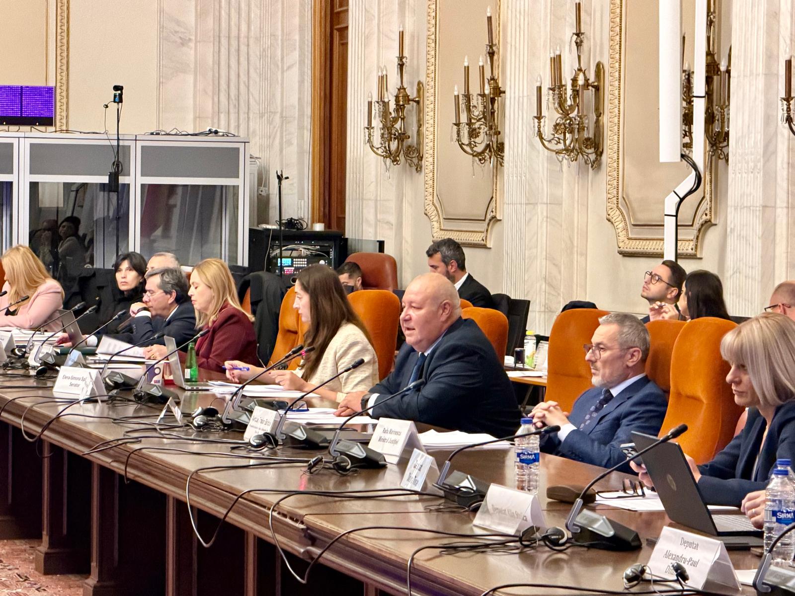 Proiectul Legii avocaturii va fi revizuit după dezbaterea de la Senat. UNBR clarifică scopul modificărilor