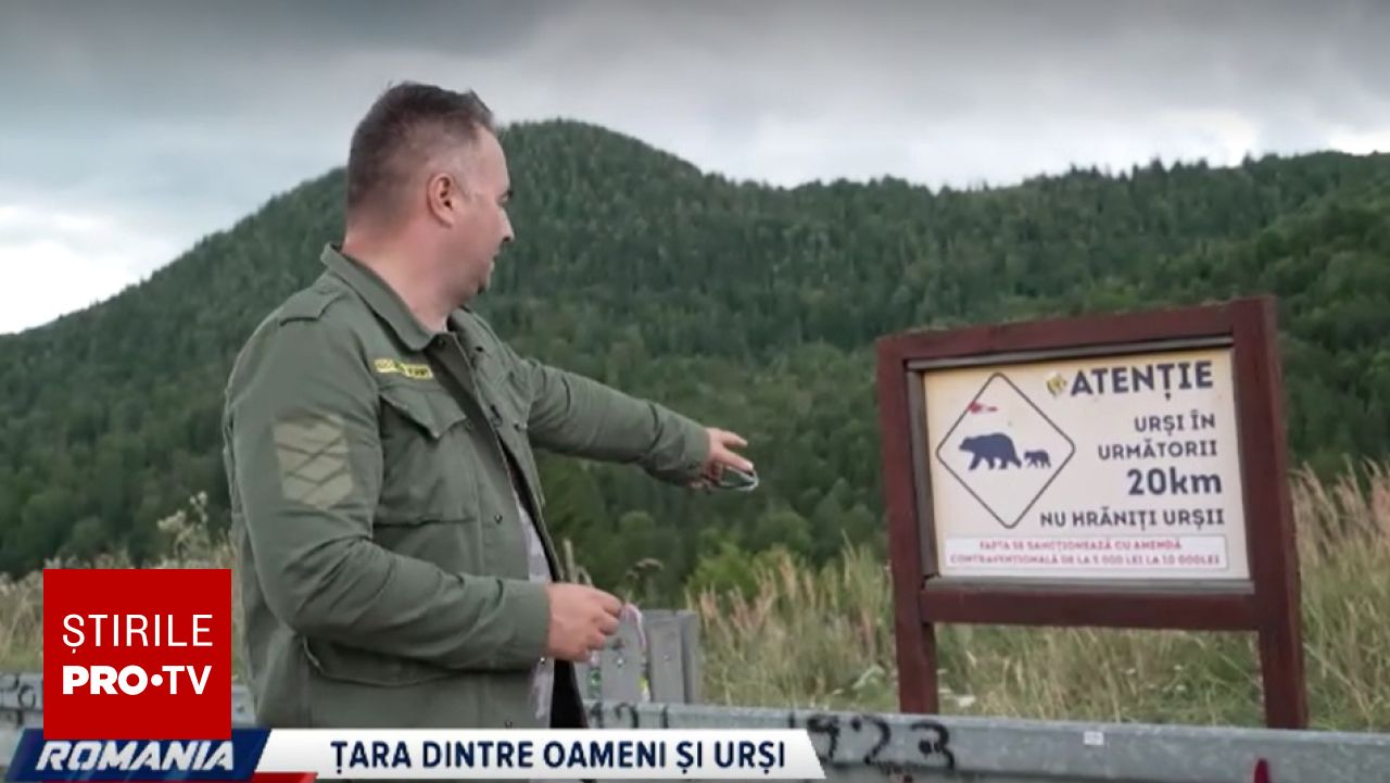 Conflictul dintre om și ursul brun în România: lipsa unei soluții și divergențe între autorități