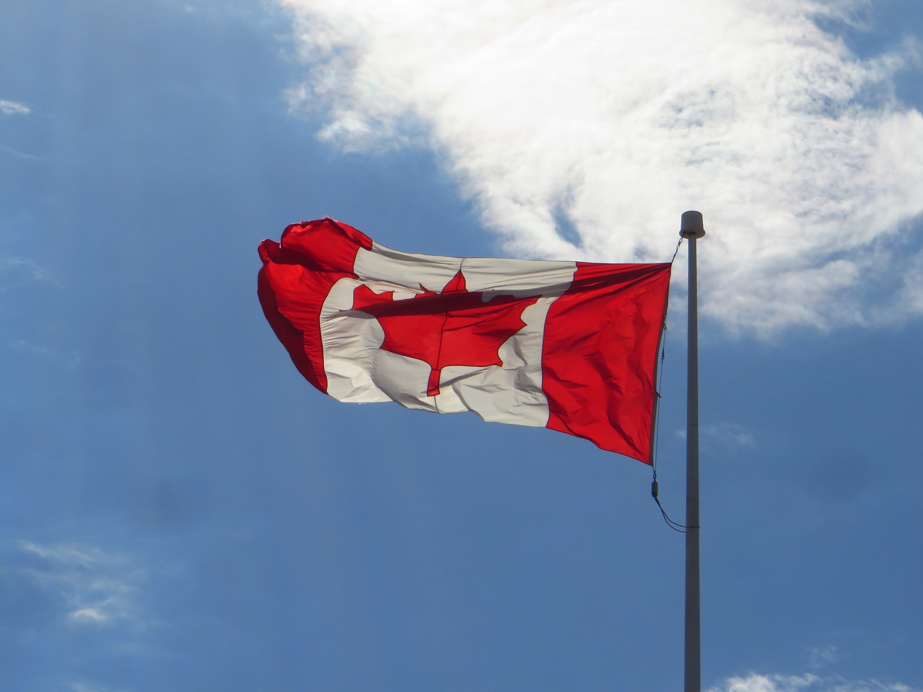 Uniunea Europeană vrea extinderea cooperării cu Canada, dincolo de domeniul comercial