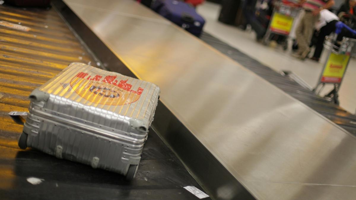 Cetățean italian, arestat în aeroportul din Torino pentru transportul unui cap de crocodil
