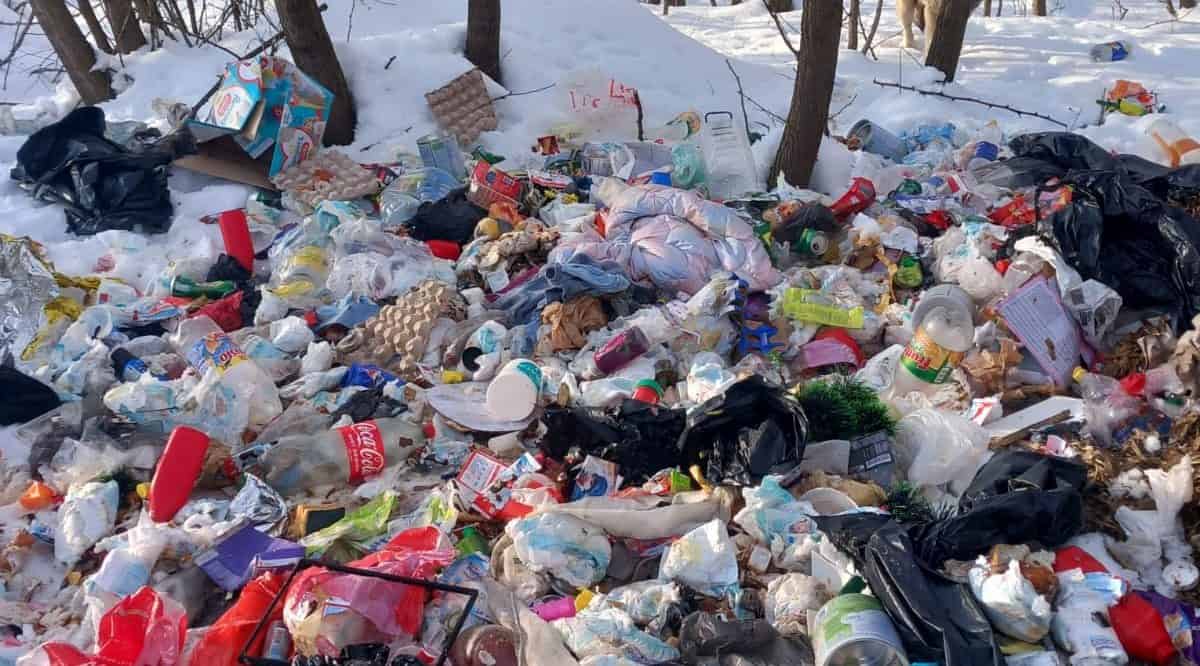 Uniunea Europeană generează peste 58 de milioane de tone de deșeuri alimentare anual