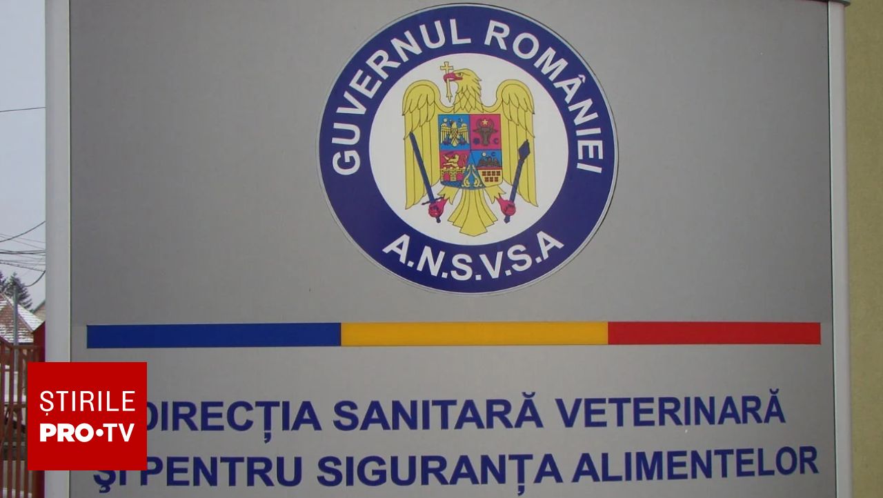 Raport dur al Curții de Conturi asupra ANSVSA: erori masive în bilanțuri și plăți pentru animale inexistente