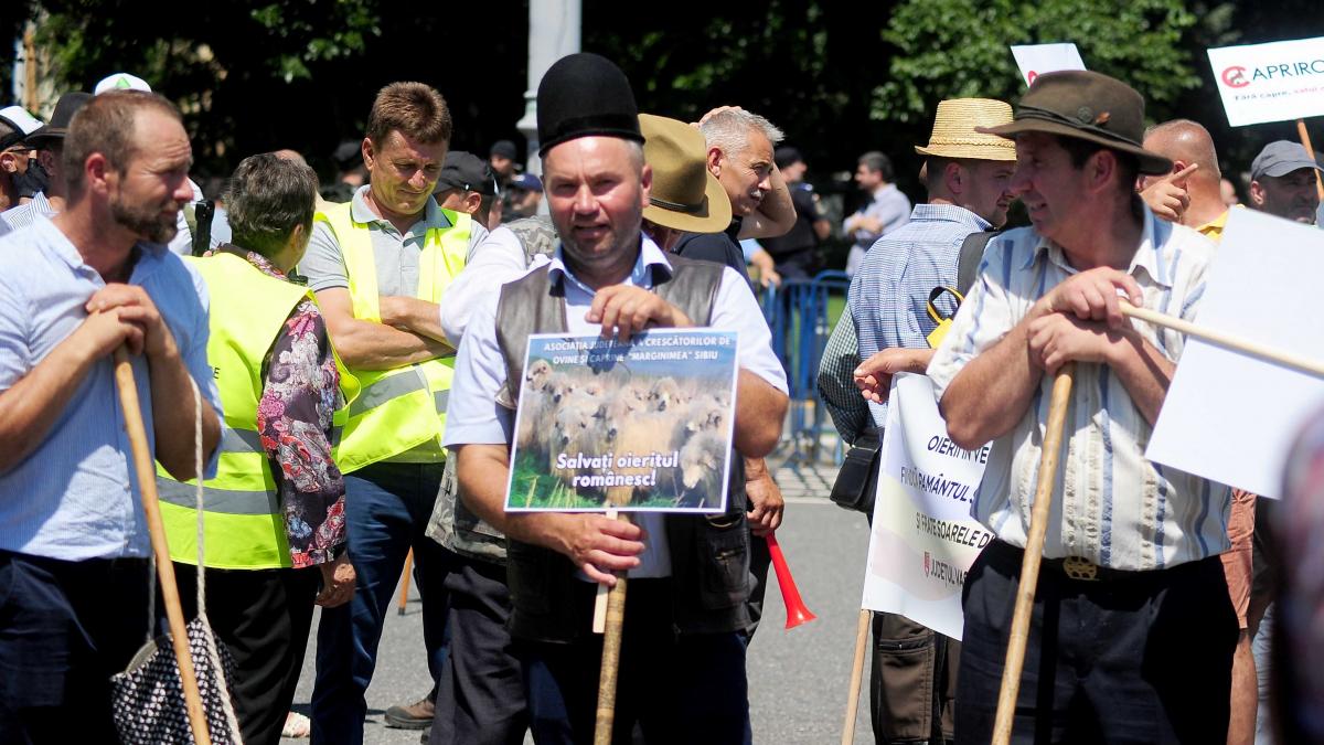 Protest masiv de fermieri în fața Guvernului: 200.000 de persoane sunt așteptate în București