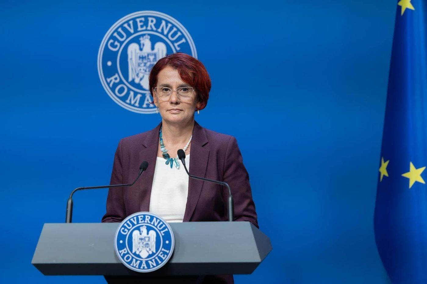 Premierul interimar Ilie Bolojan a fost audiat ca martor de către DNA Iași în dosarul Fănel Bogos