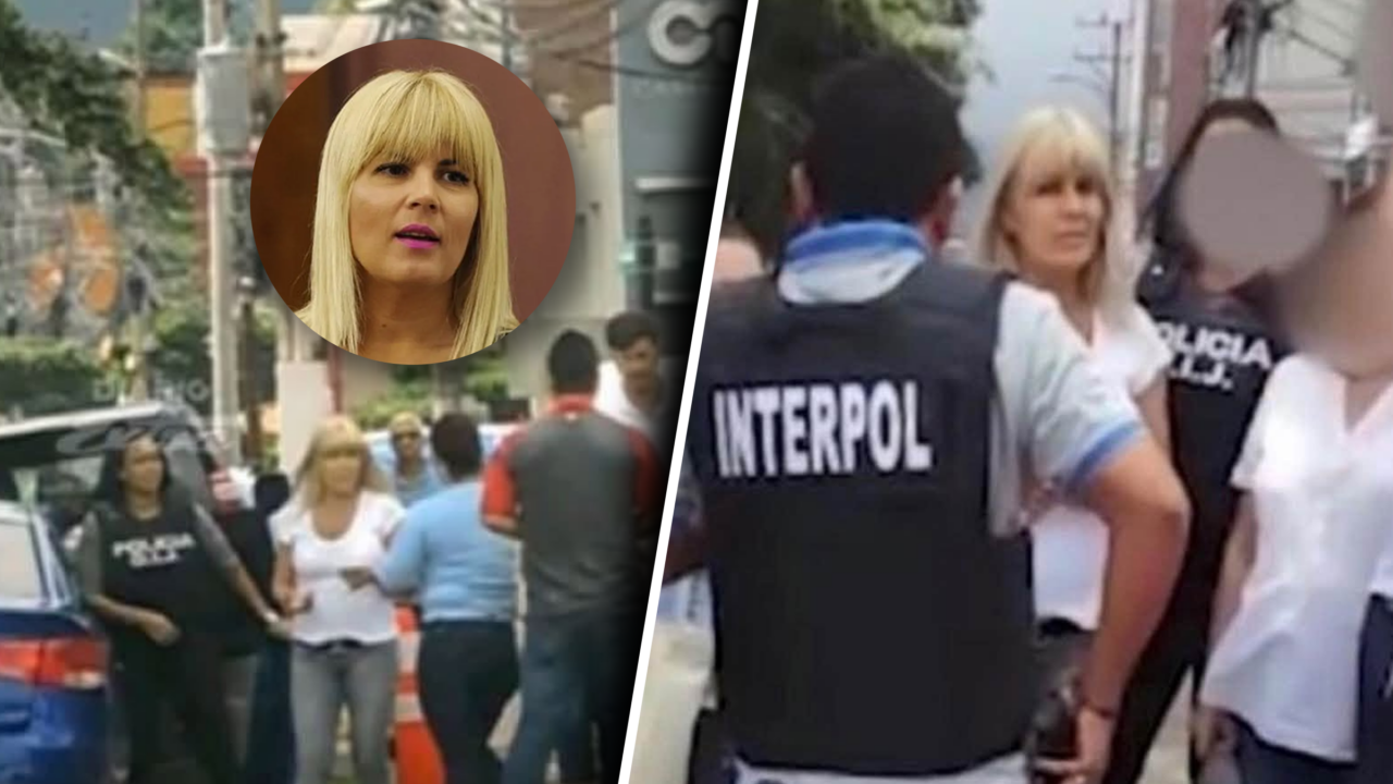 Elena Udrea critică PNL și miniștrii de la Justiție în semnul de 8 ani de la arestarea din Costa Rica
