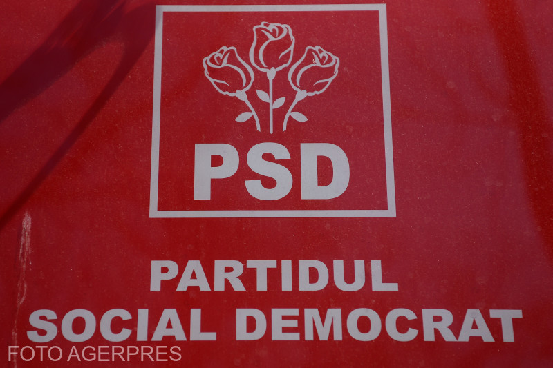 Liderii PSD se reunesc pentru a decide poziția partidului față de cabinetul propus de Luca Niculescu
