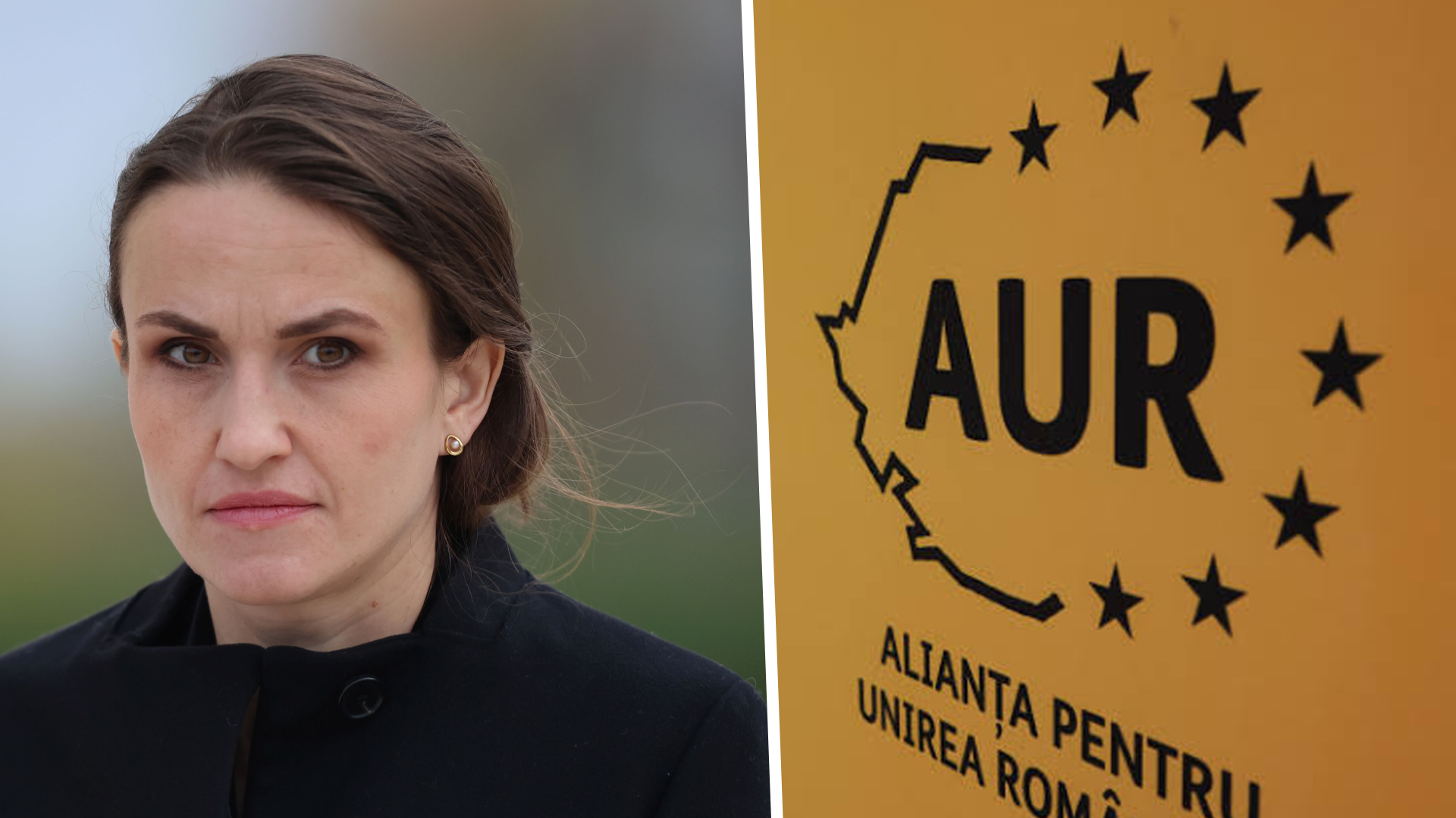 Senatul a adoptat declarația privind apărarea dreptului de veto al României în cadrul UE