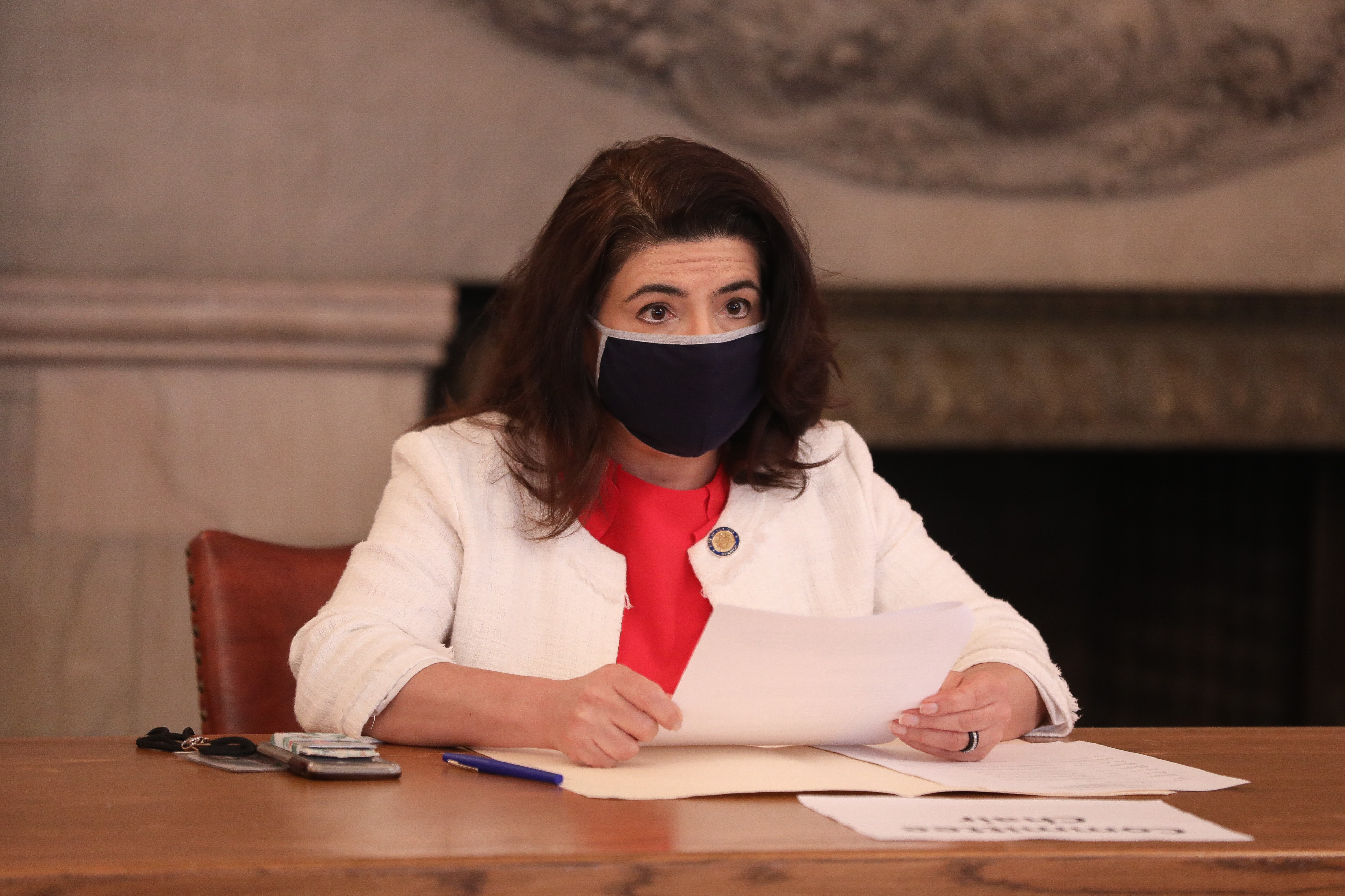 Comisia pentru constituționalitate a Senatului reînvite pe Ilie Bolojan și Simina Tănăsescu la audieri